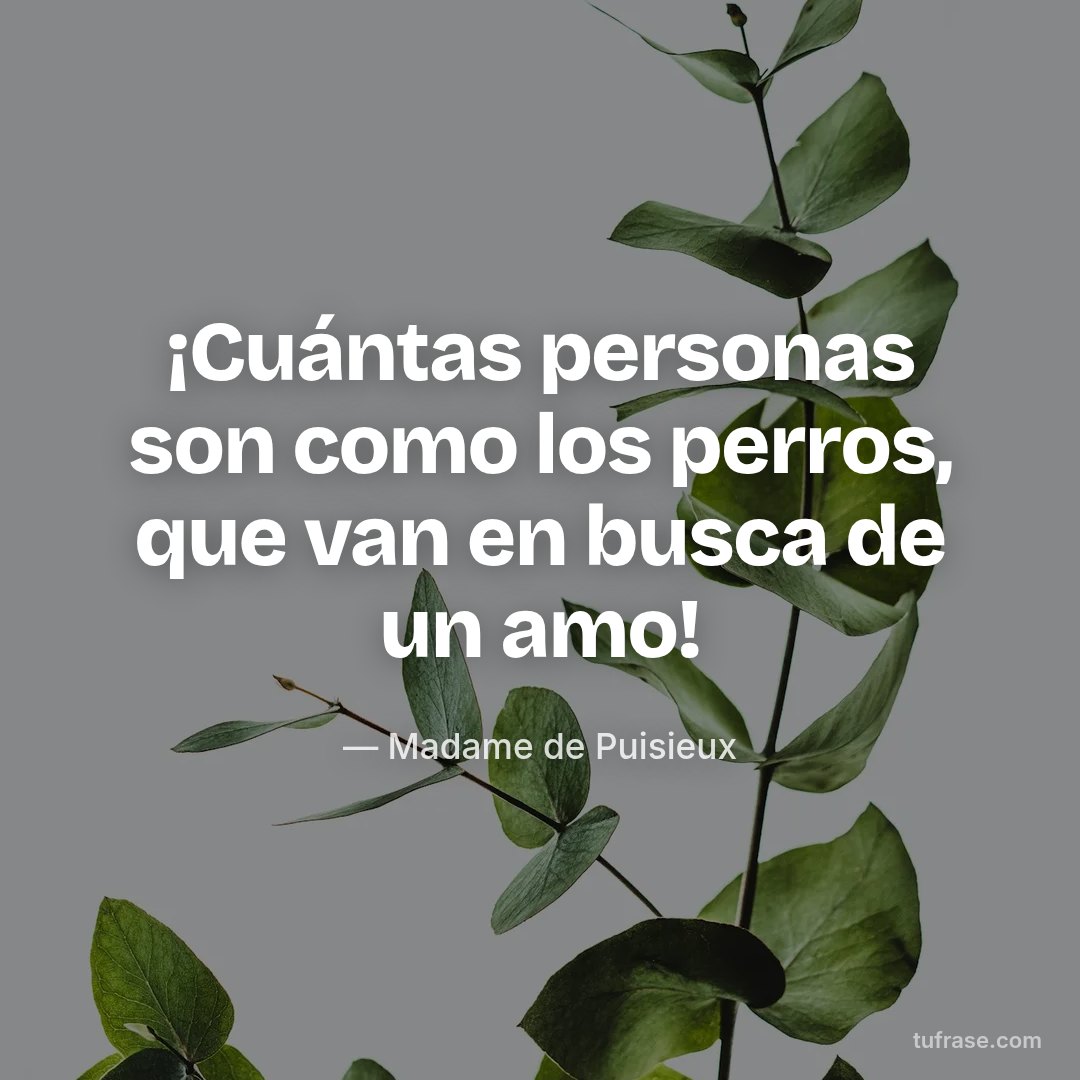 ¡Cuántas personas son como los perros, que van en busca de un amo!