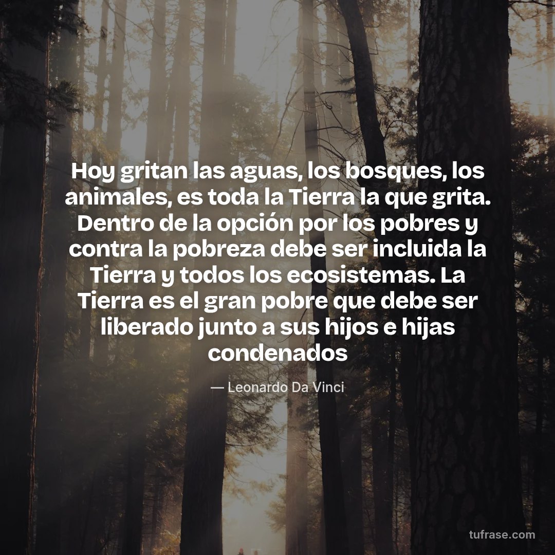 Hoy gritan las aguas, los bosques, los animales, es toda la Tierra la que grita. Dentro de la opción por los pobres y contra la pobreza debe ser incluida la Tierra y todos los ecosistemas. La Tierra es el gran pobre que debe ser liberado junto a sus hijos e hijas condenados