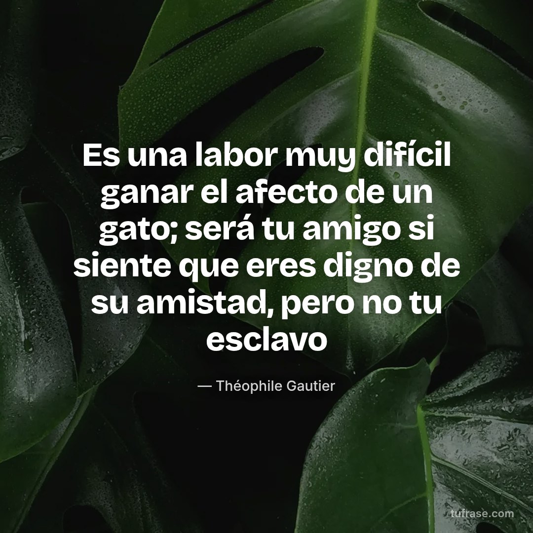 Es una labor muy difícil ganar el afecto de un gato; será tu amigo si siente que eres digno de su amistad, pero no tu esclavo