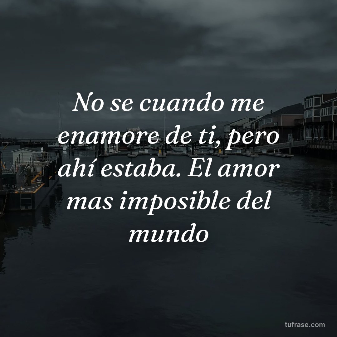No se cuando me enamore de ti, pero ahí estaba. El amor mas imposible del mundo