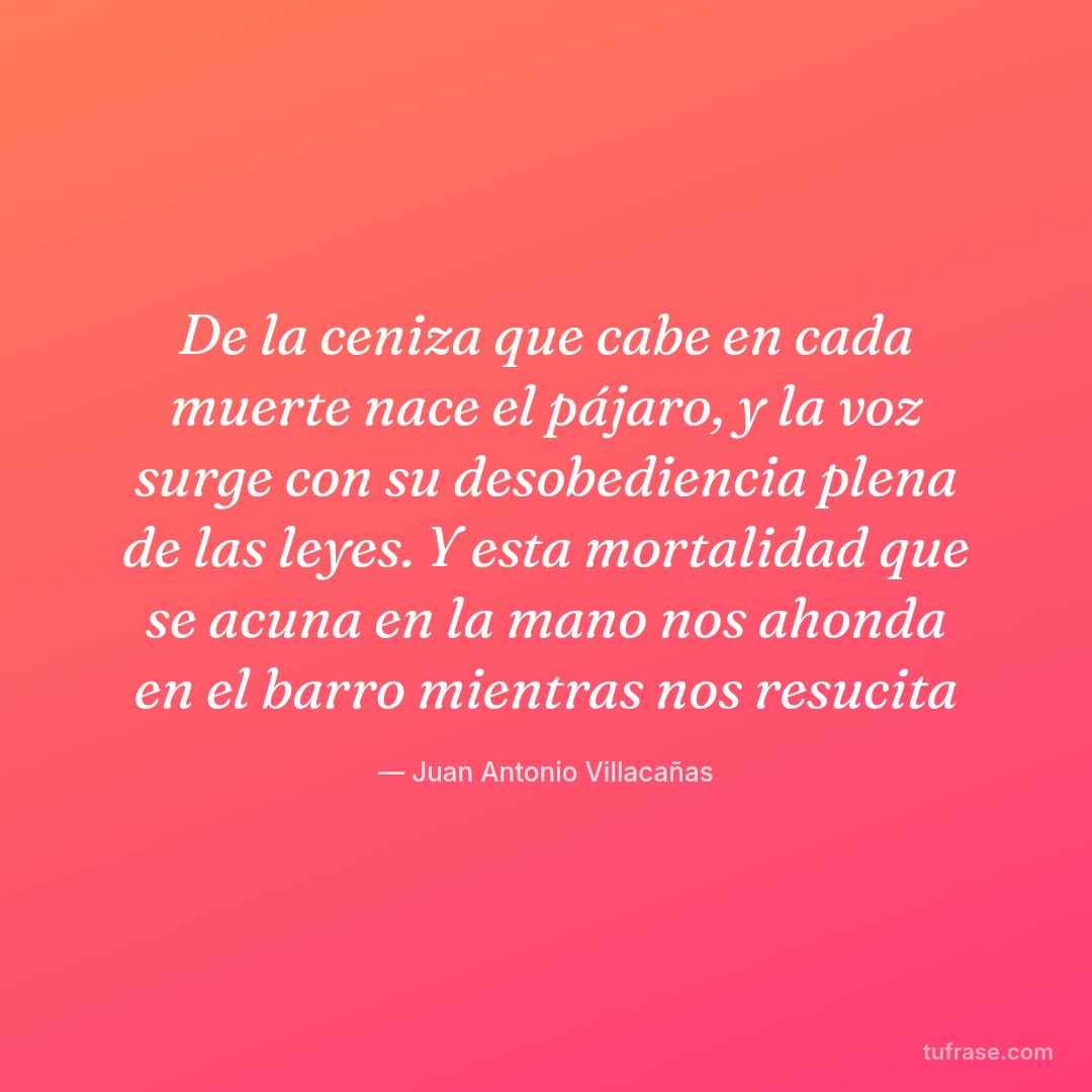 De la ceniza que cabe en cada muerte nace el pájaro, y la voz surge con su desobediencia plena de las leyes. Y esta mortalidad que se acuna en la mano nos ahonda en el barro mientras nos resucita