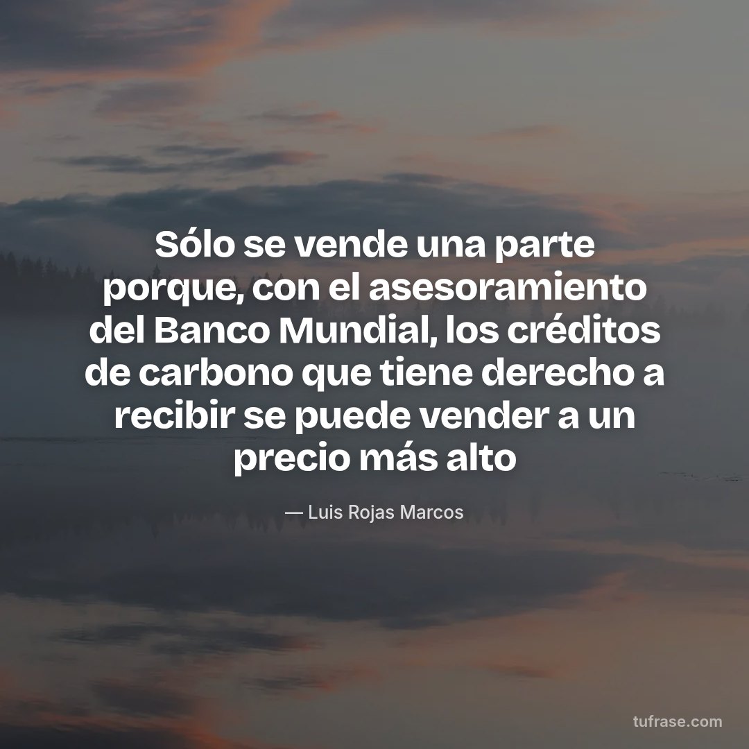 Sólo se vende una parte porque, con el asesoramiento del Banco Mundial, los créditos de carbono que tiene derecho a recibir se puede vender a un precio más alto