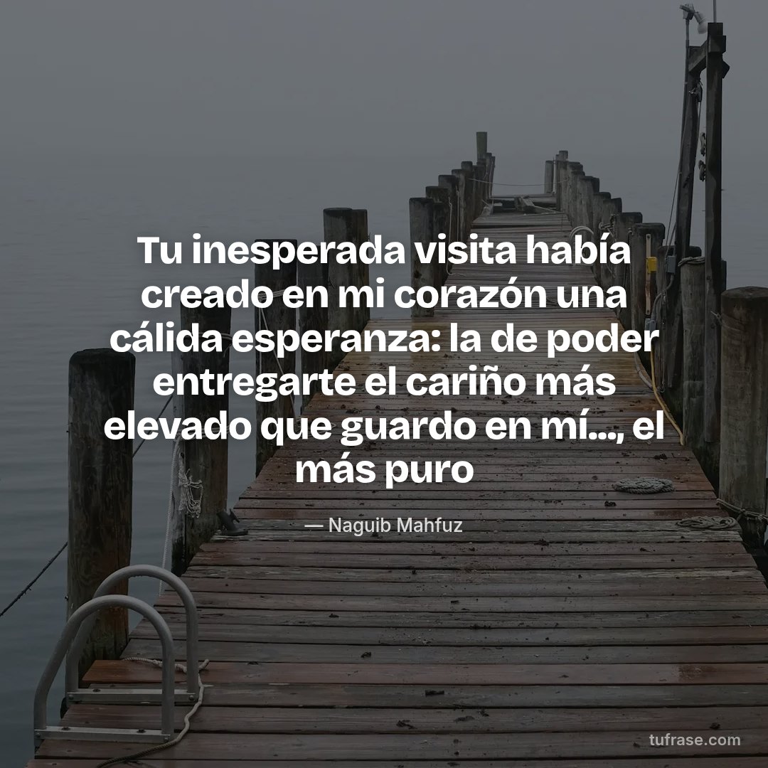 Tu inesperada visita había creado en mi corazón una cálida esperanza: la de poder entregarte el cariño más elevado que guardo en mí..., el más puro