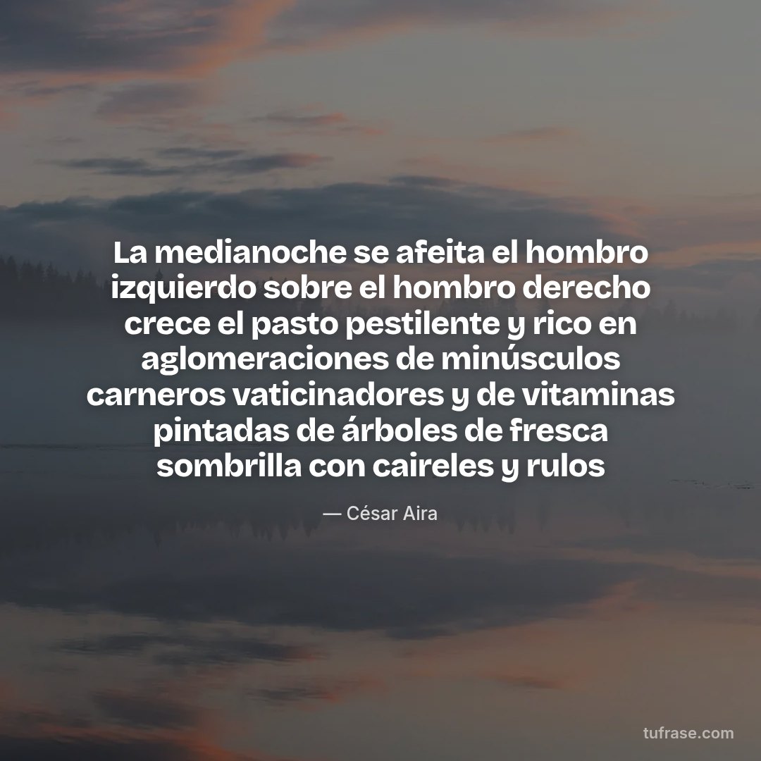 La medianoche se afeita el hombro izquierdo sobre el hombro derecho crece el pasto pestilente y rico en aglomeraciones de minúsculos carneros vaticinadores y de vitaminas pintadas de árboles de fresca sombrilla con caireles y rulos