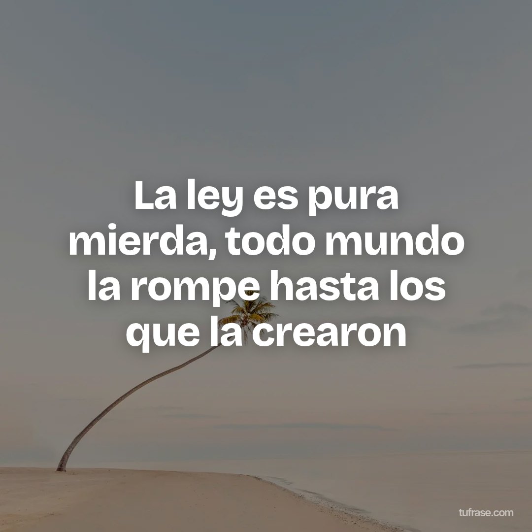 La ley es pura mierda, todo mundo la rompe hasta los que la crearon