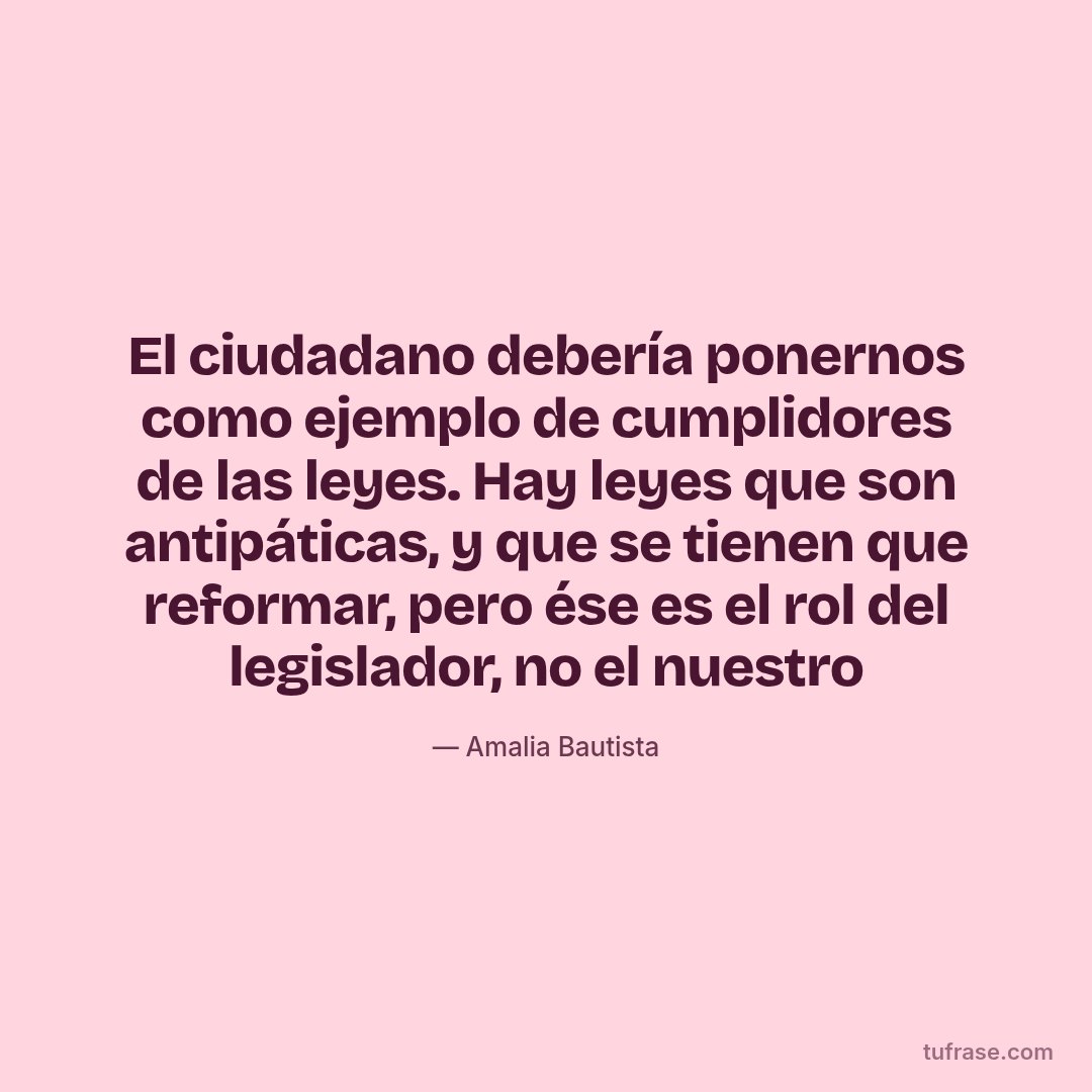 El ciudadano debería ponernos como ejemplo de cumplidores de las leyes. Hay leyes que son antipáticas, y que se tienen que reformar, pero ése es el rol del legislador, no el nuestro