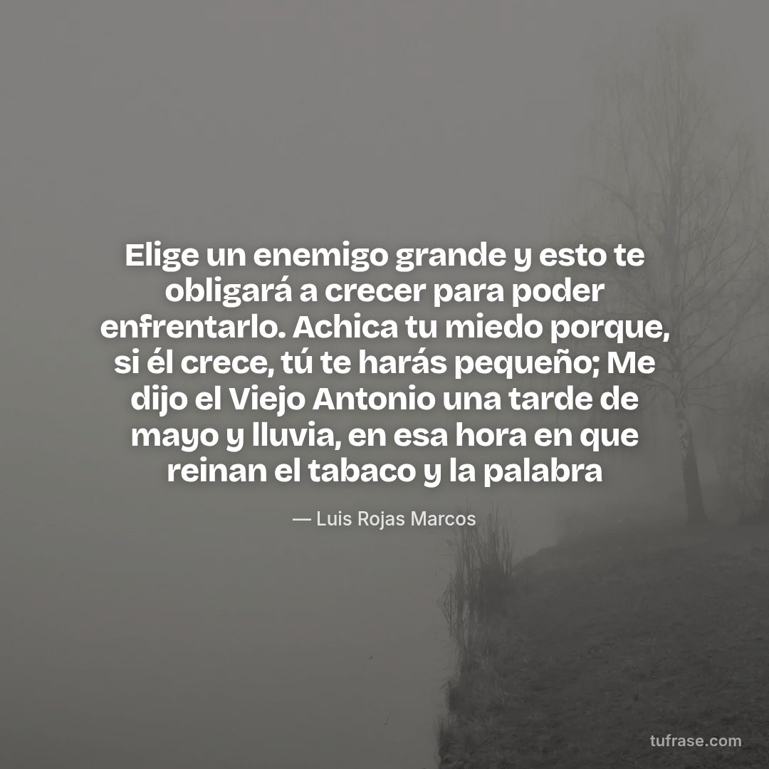 Elige un enemigo grande y esto te obligará a crecer para poder enfrentarlo. Achica tu miedo porque, si él crece, tú te harás pequeño; Me dijo el Viejo Antonio una tarde de mayo y lluvia, en esa hora en que reinan el tabaco y la palabra