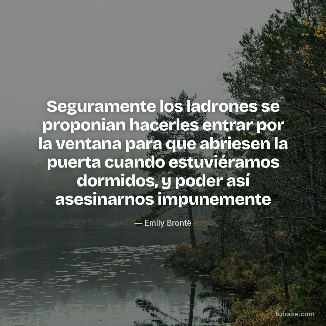 Seguramente los ladrones se proponian hacerles entrar por la ventana para que abriesen la puerta cuando estuviéramos dormidos, y poder así asesinarnos impunemente