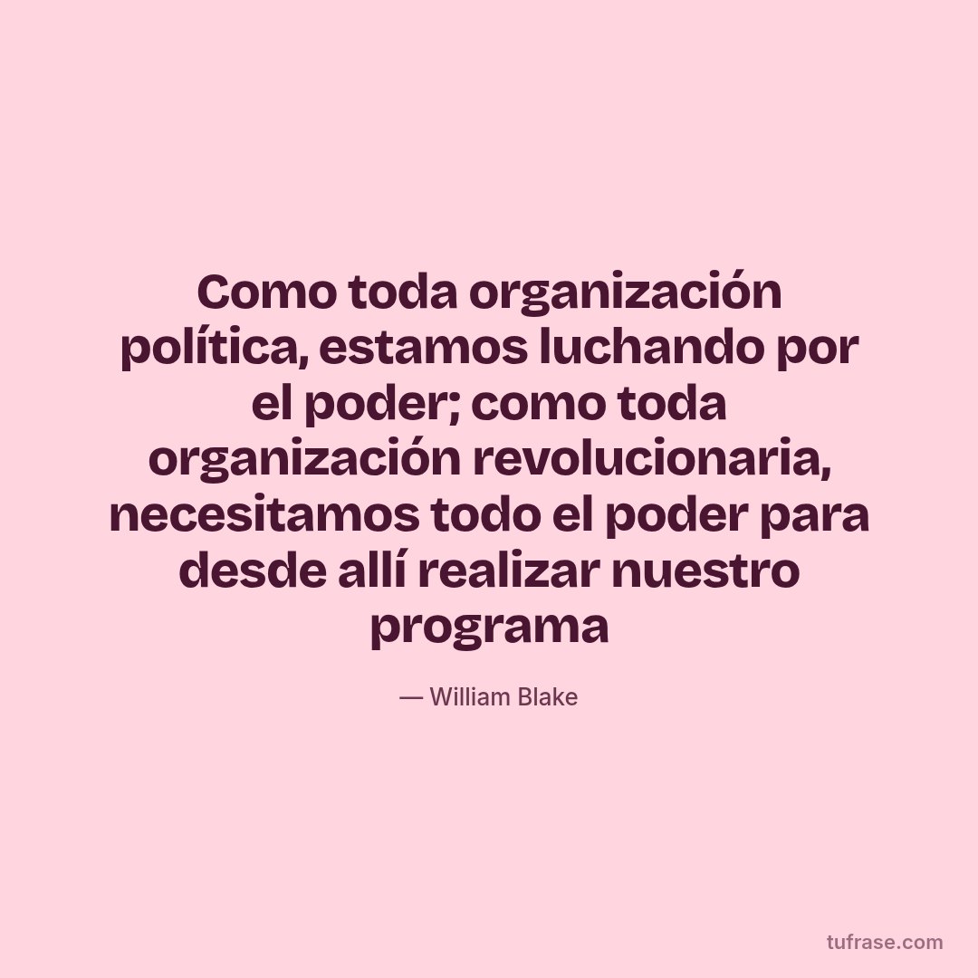 Como toda organización política, estamos luchando por el poder; como toda organización revolucionaria, necesitamos todo el poder para desde allí realizar nuestro programa