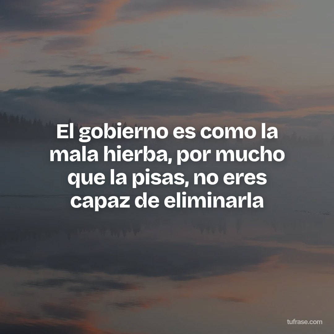 El gobierno es como la mala hierba, por mucho que la pisas, no eres capaz de eliminarla