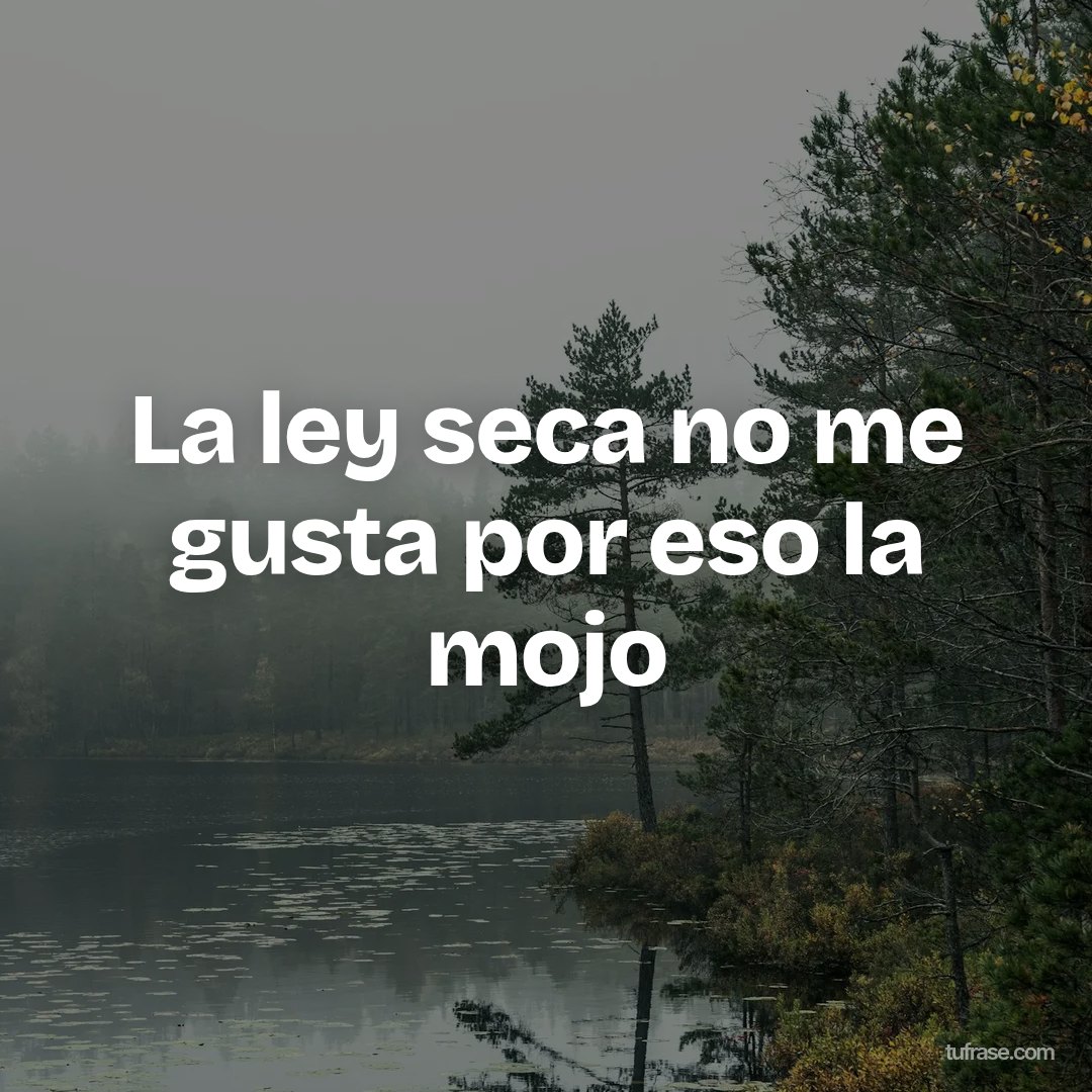 La ley seca no me gusta por eso la mojo