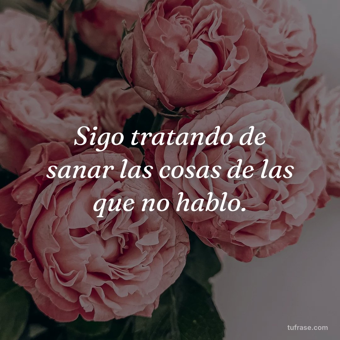 Sigo tratando de sanar las cosas de las que no hablo.