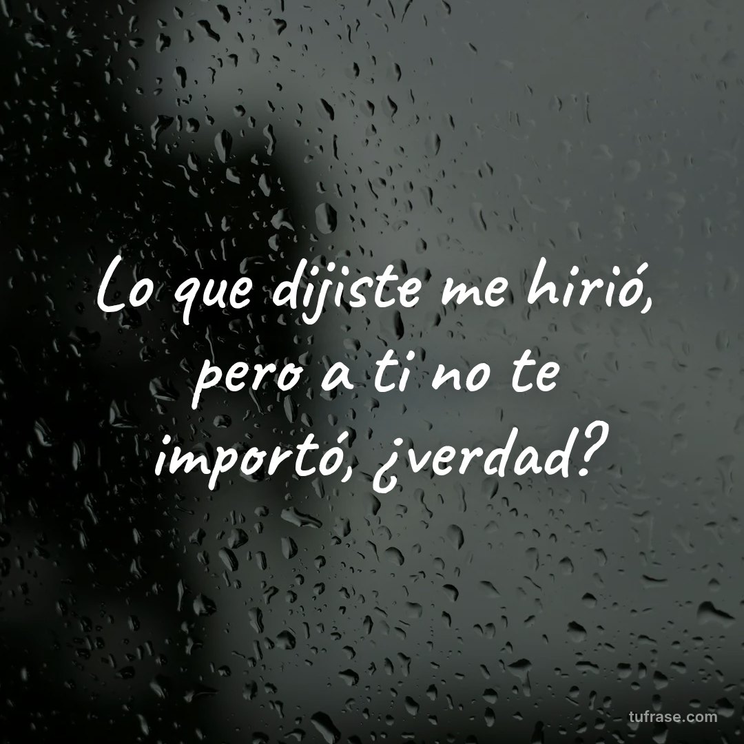 Lo que dijiste me hirió, pero a ti no te importó, ¿verdad?