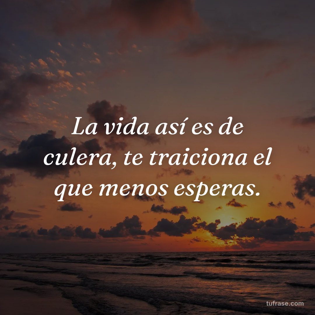 La vida así es de culera, te traiciona el que menos esperas.