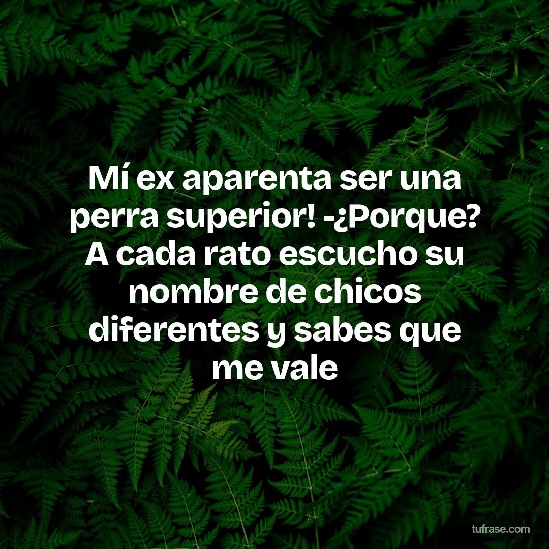 Mí ex aparenta ser una perra superior! -¿Porque? A cada rato escucho su nombre de chicos diferentes y sabes que me vale