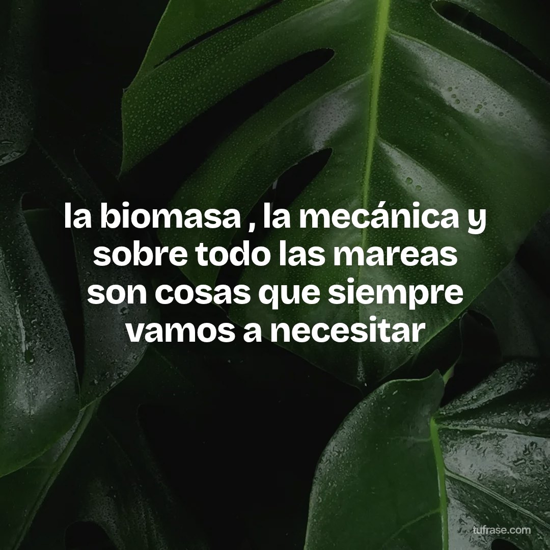 la biomasa , la mecánica y sobre todo las mareas son cosas que siempre vamos a necesitar