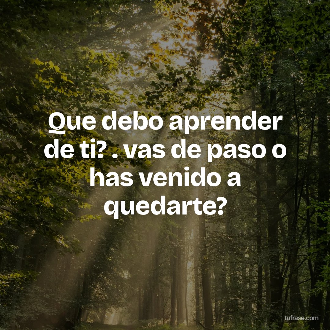 Que debo aprender de ti? . vas de paso o has venido a quedarte?
