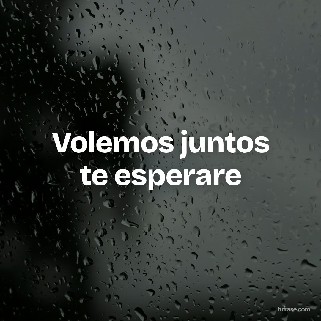 Volemos juntos te esperare