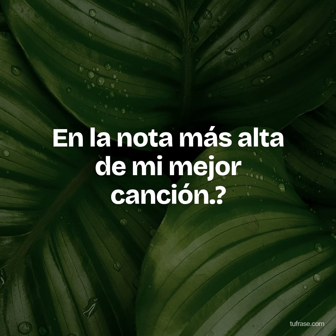 En la nota más alta de mi mejor canción.?