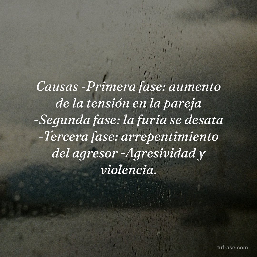 Causas -Primera fase: aumento de la tensión en la pareja -Segunda fase: la furia se desata -Tercera fase: arrepentimiento del agresor -Agresividad y violencia.