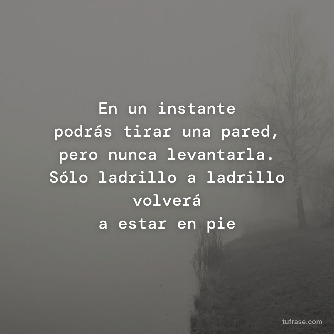 En un instante podrás tirar una pared, pero nunca levantarla. Sólo ladrillo a ladrillo volverá a estar en pie