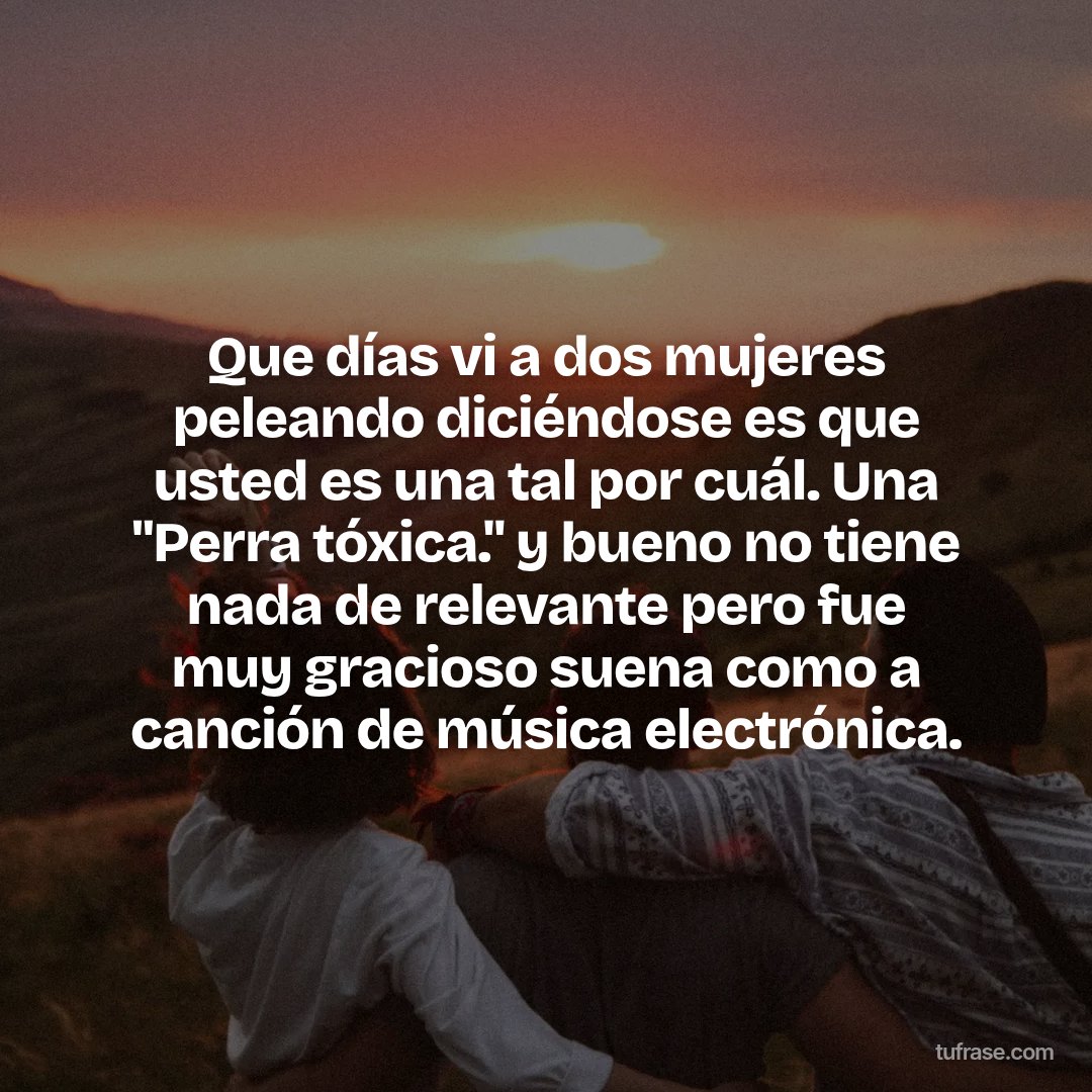 Que días vi a dos mujeres peleando diciéndose es que usted es una tal por cuál. Una "Perra tóxica." y bueno no tiene nada de relevante pero fue muy gracioso suena como a canción de música electrónica.