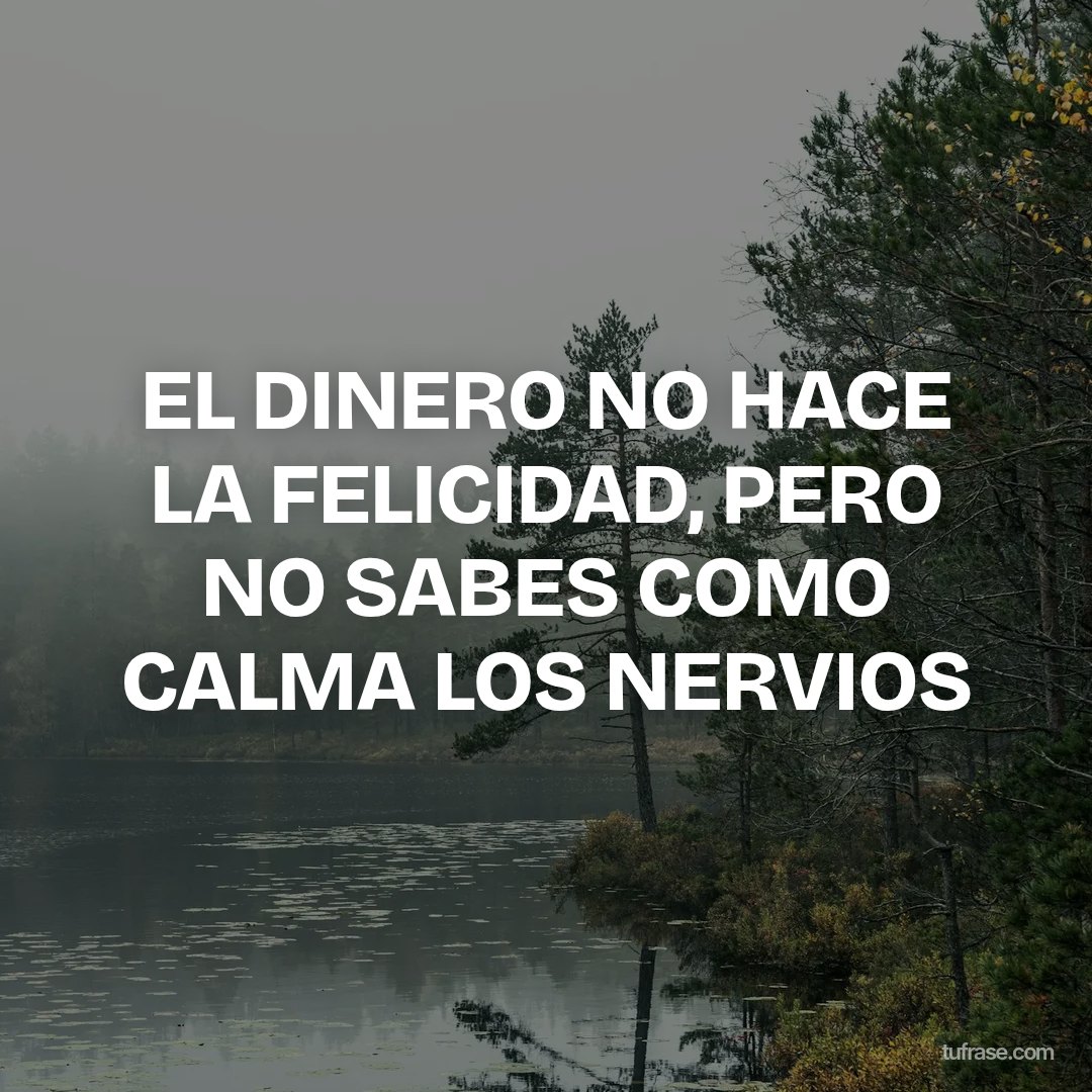 EL DINERO NO HACE LA FELICIDAD, PERO NO SABES COMO CALMA LOS NERVIOS