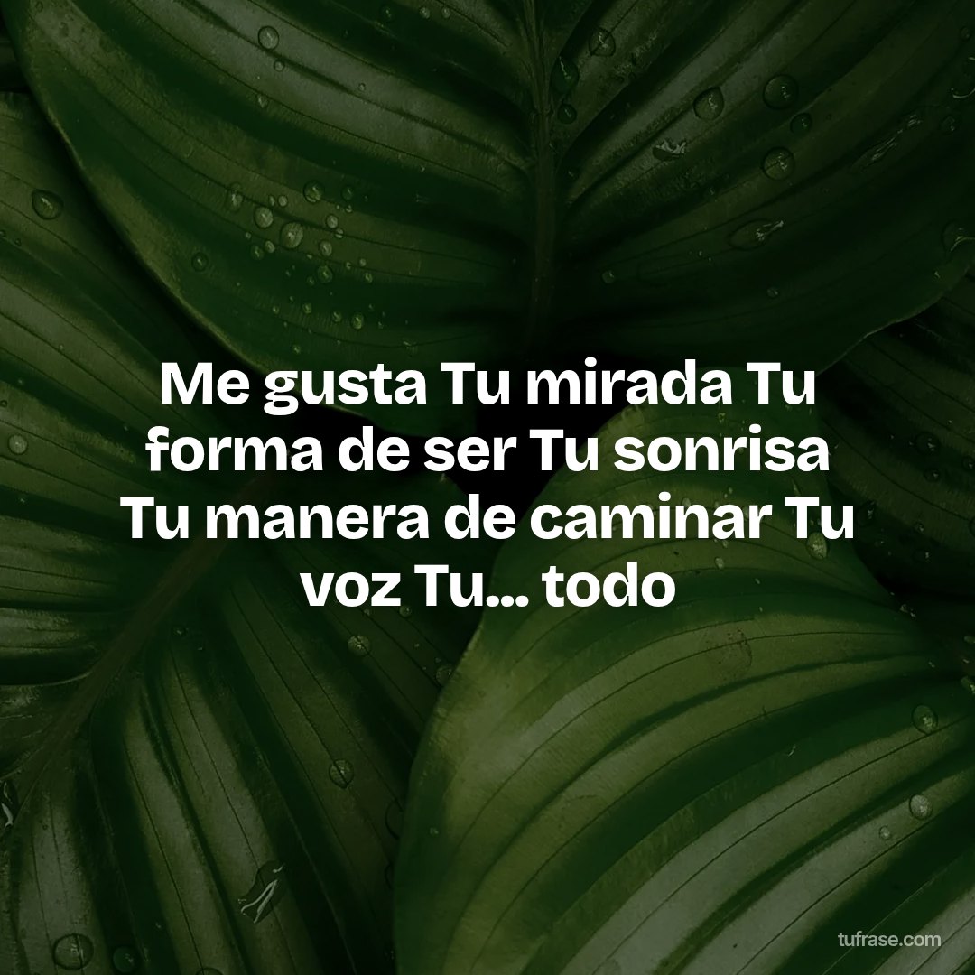 Me gusta Tu mirada Tu forma de ser Tu sonrisa Tu manera de caminar Tu voz Tu... todo