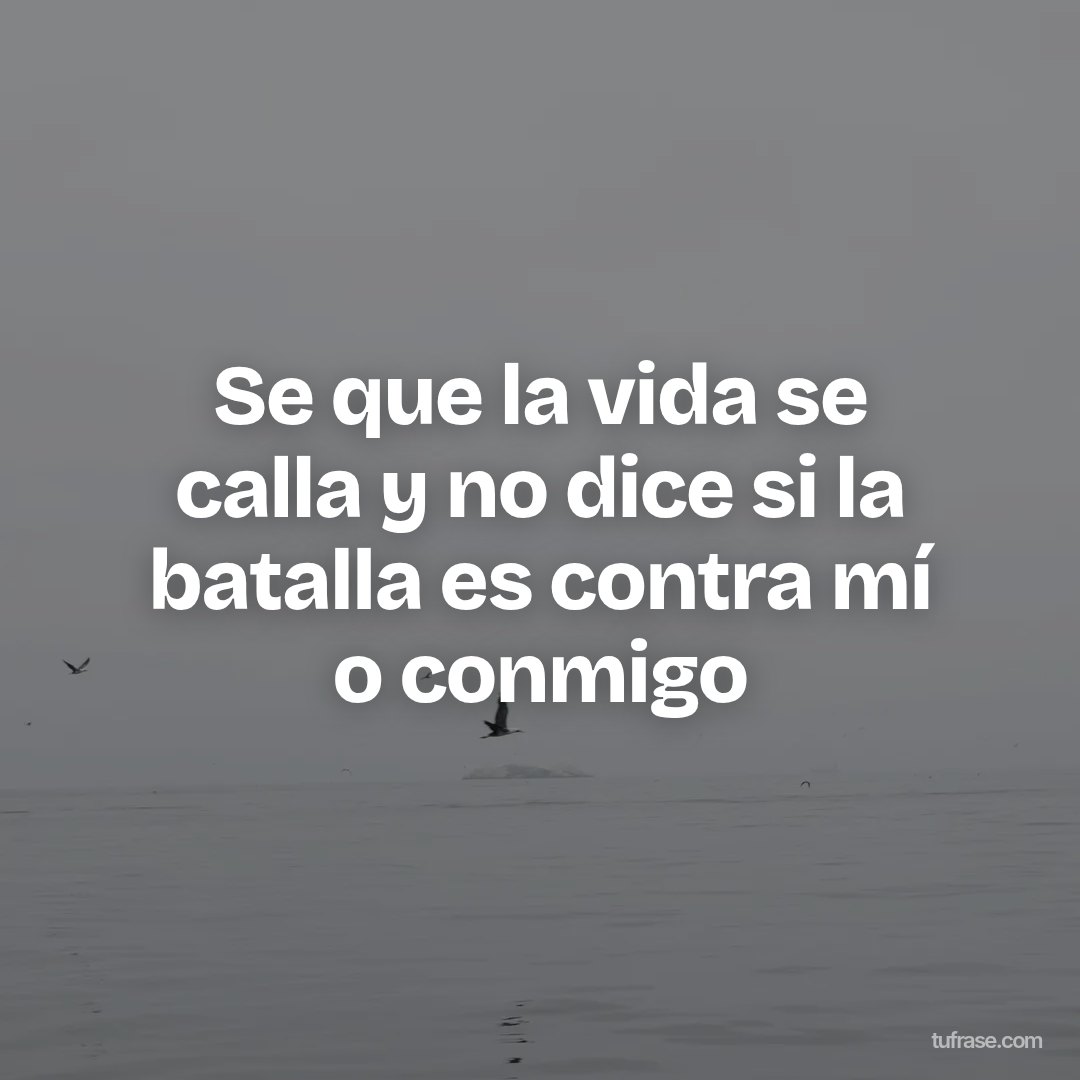 Se que la vida se calla y no dice si la batalla es contra mí o conmigo