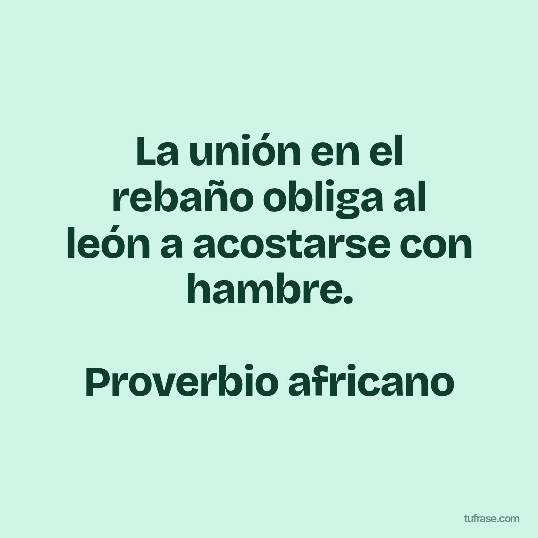 La unión en el rebaño obliga al león a acostarse con hambre. Proverbio africano