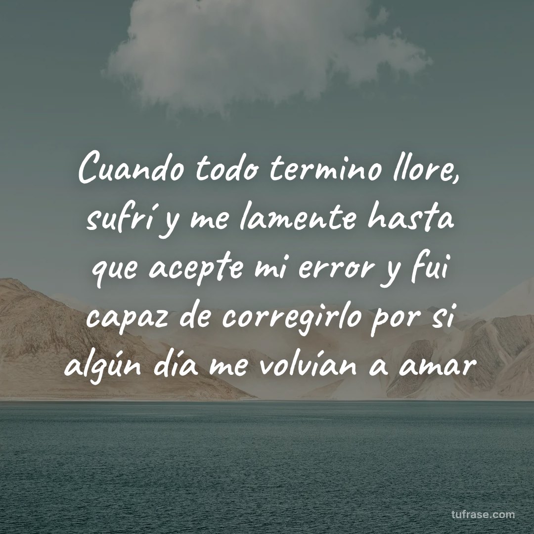 Cuando todo termino llore, sufrí y me lamente hasta que acepte mi error y fui capaz de corregirlo por si algún día me volvían a amar