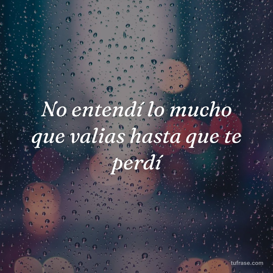 No entendí lo mucho que valias hasta que te perdí
