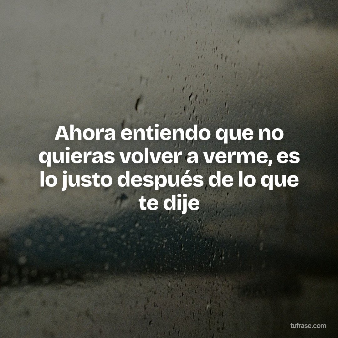 Ahora entiendo que no quieras volver a verme, es lo justo después de lo que te dije