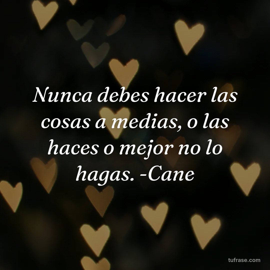 Nunca debes hacer las cosas a medias, o las haces o mejor no lo hagas. -Cane