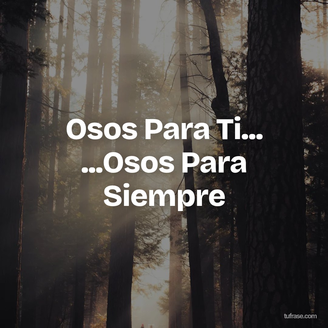 Osos Para Ti... ...Osos Para Siempre