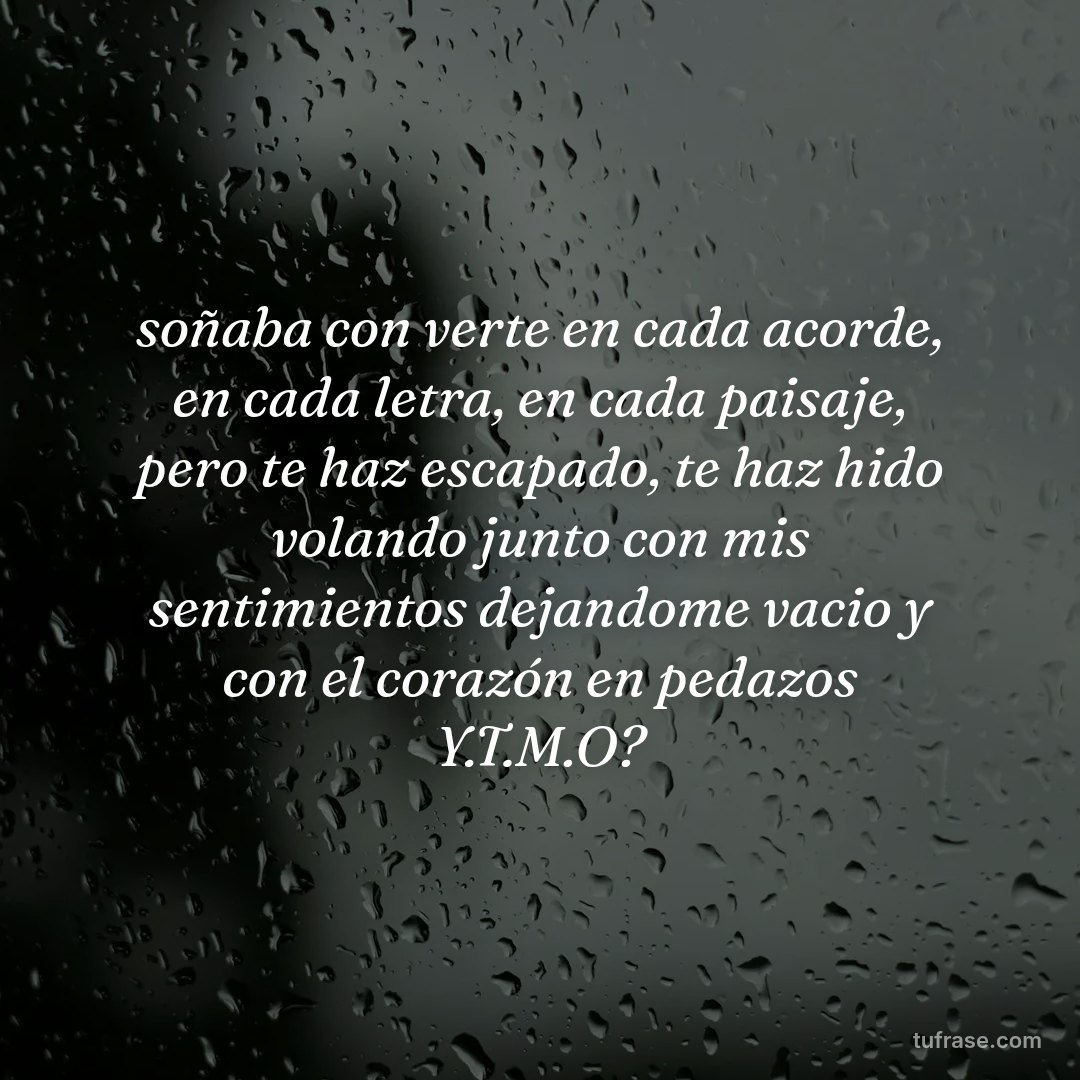 soñaba con verte en cada acorde, en cada letra, en cada paisaje, pero te haz escapado, te haz hido volando junto con mis sentimientos dejandome vacio y con el corazón en pedazos Y.T.M.O?