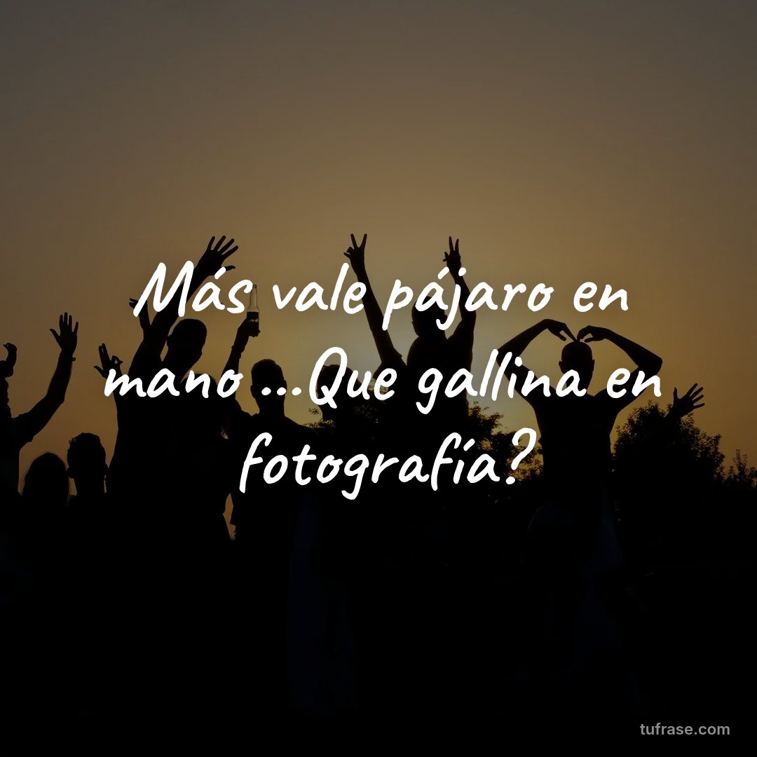 Más vale pájaro en mano ...Que gallina en fotografía?