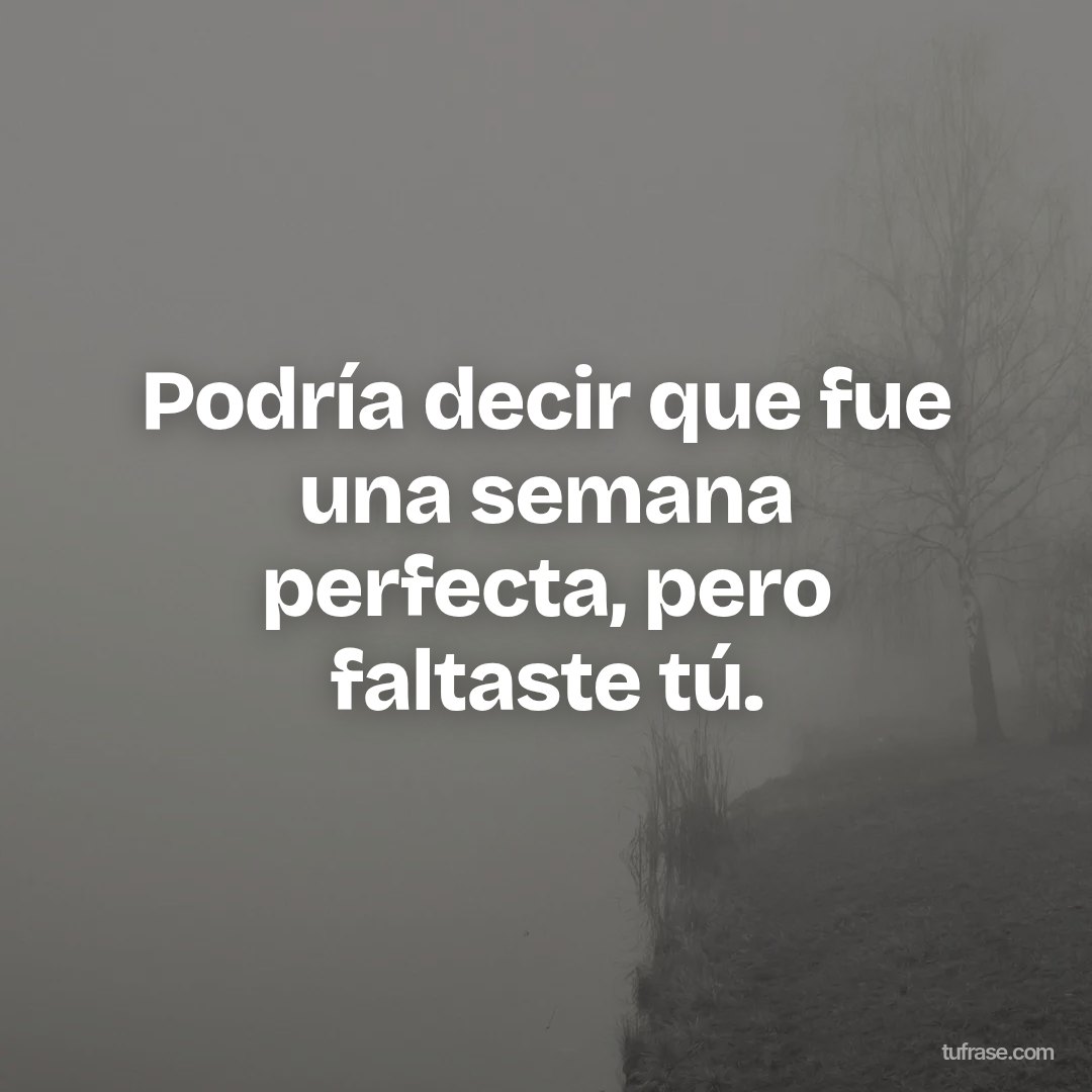 Podría decir que fue una semana perfecta, pero faltaste tú.