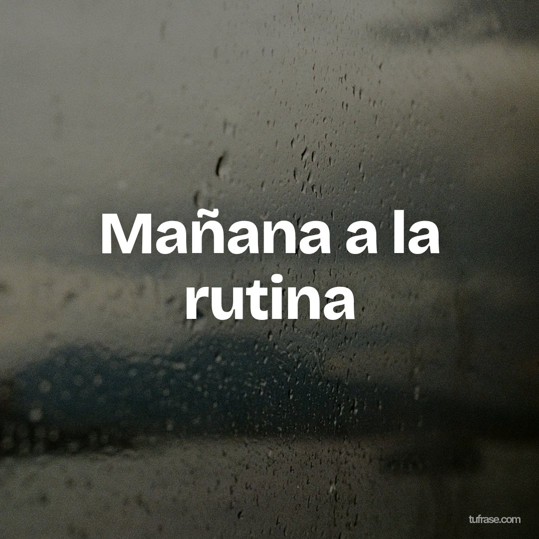 Mañana a la rutina