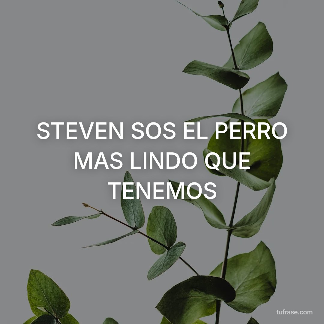 STEVEN SOS EL PERRO MAS LINDO QUE TENEMOS