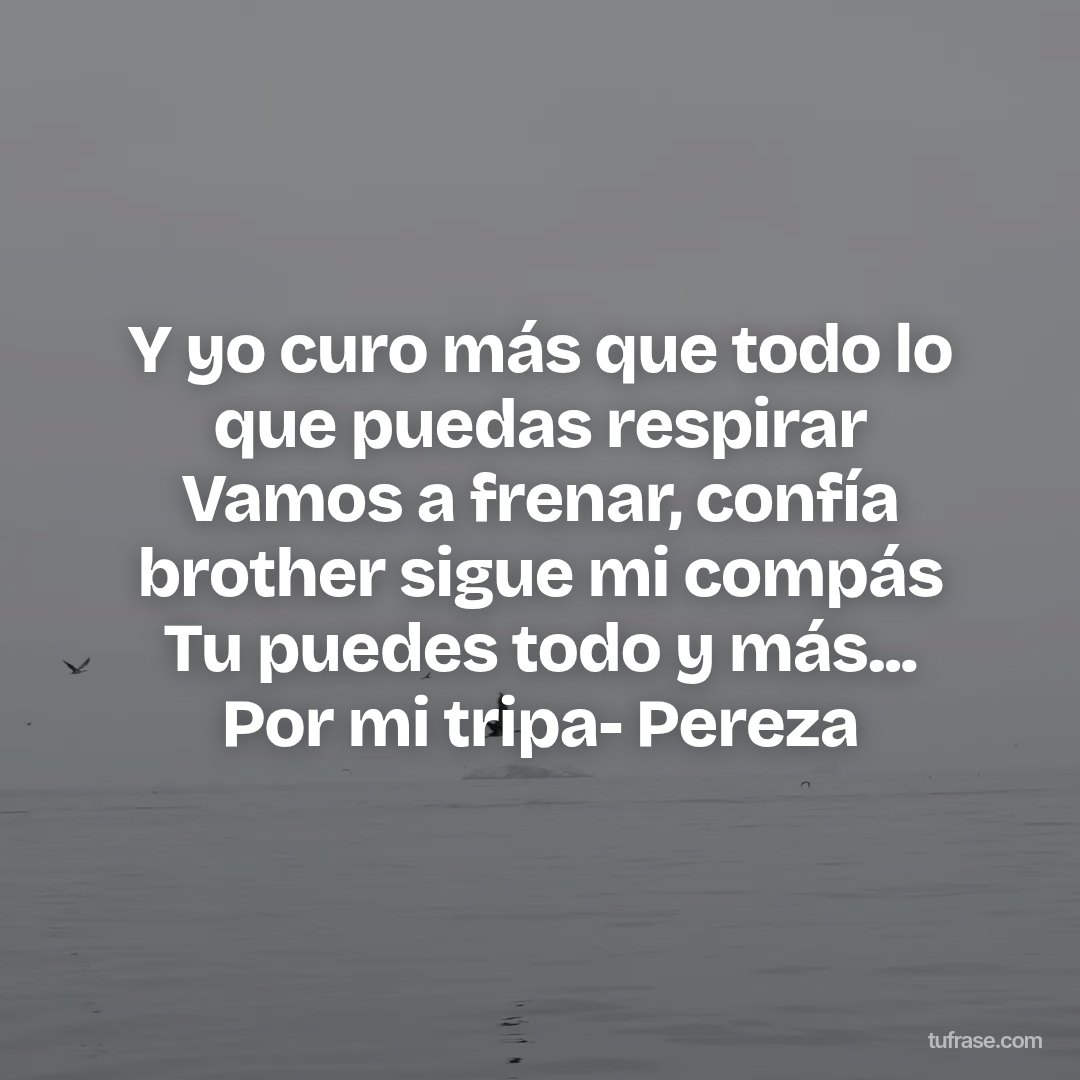 Y yo curo más que todo lo que puedas respirar Vamos a frenar, confía brother sigue mi compás Tu puedes todo y más... Por mi tripa- Pereza