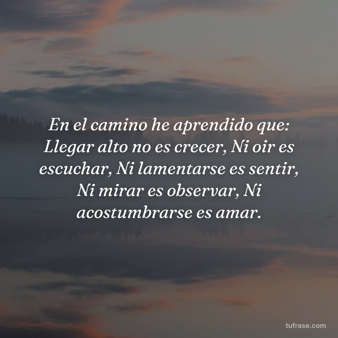 En el camino he aprendido que: Llegar alto no es crecer, Ni oir es escuchar, Ni lamentarse es sentir, Ni mirar es observar, Ni acostumbrarse es amar.