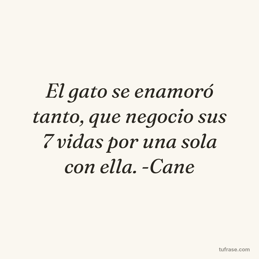 El gato se enamoró tanto, que negocio sus 7 vidas por una sola con ella. -Cane