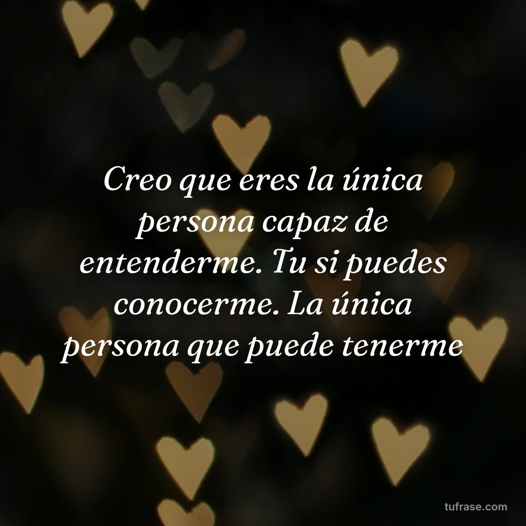 Creo que eres la única persona capaz de entenderme. Tu si puedes conocerme. La única persona que puede tenerme