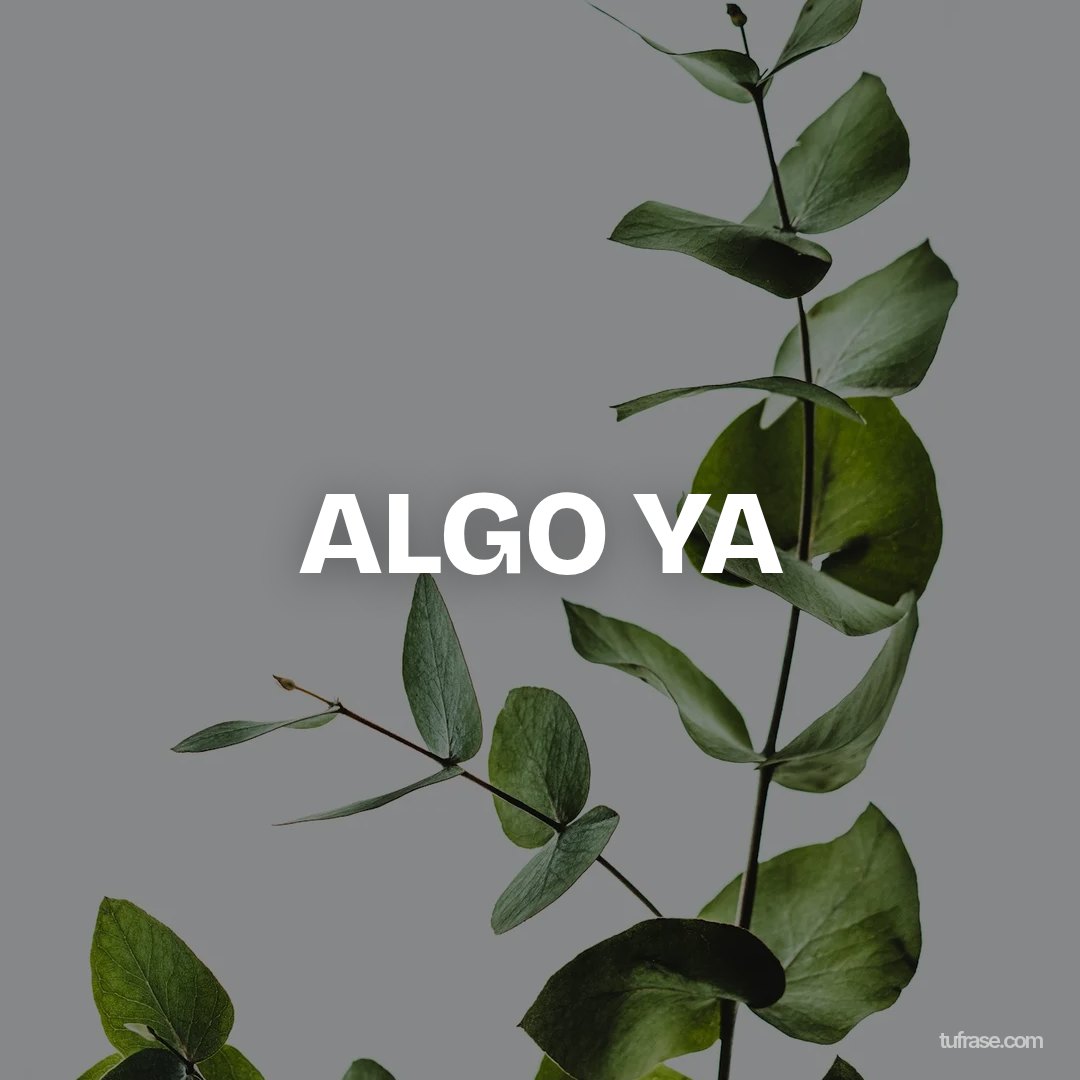 ALGO YA