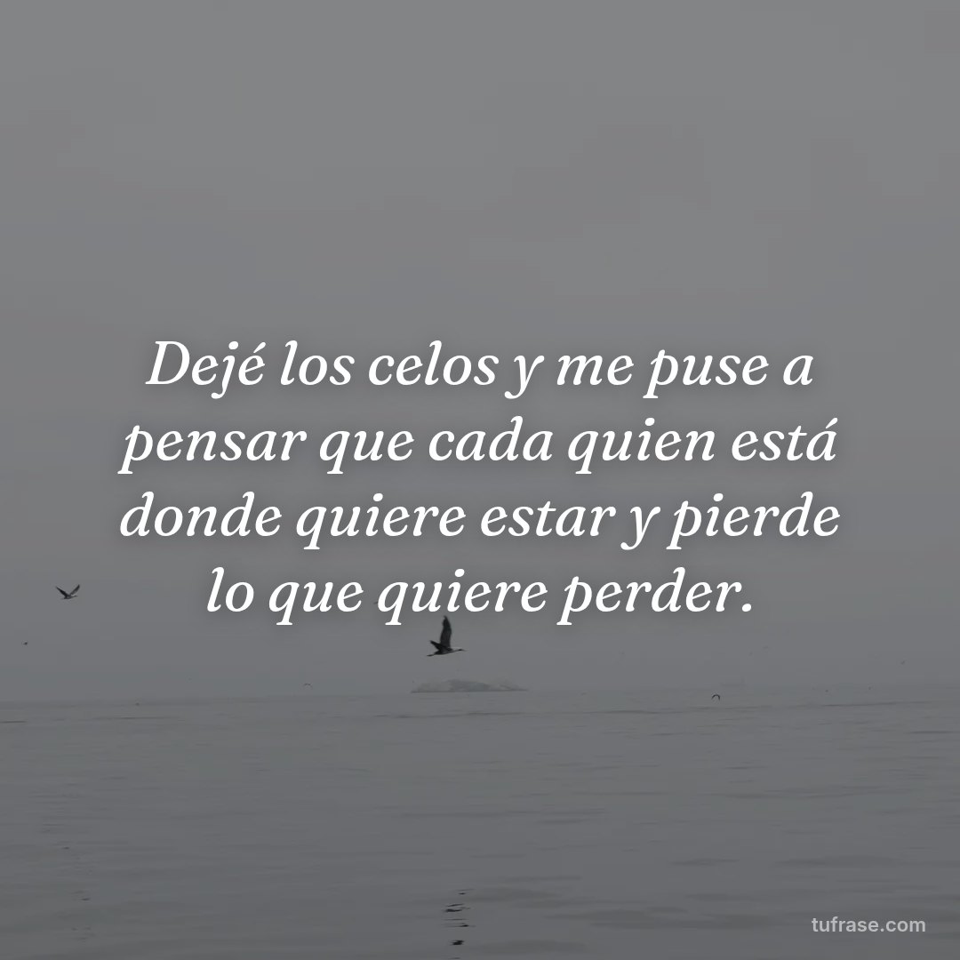 Dejé los celos y me puse a pensar que cada quien está donde quiere estar y pierde lo que quiere perder.