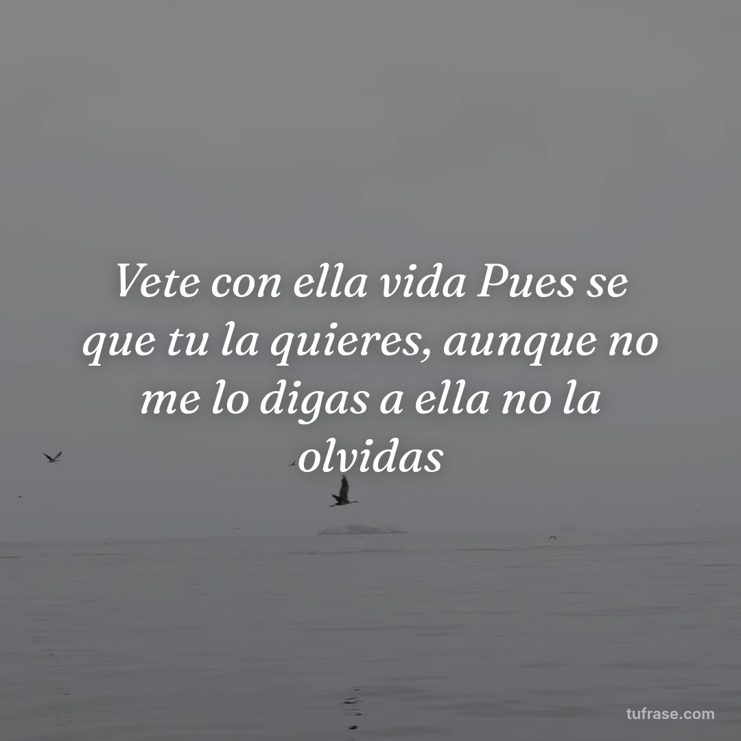 Vete con ella vida Pues se que tu la quieres, aunque no me lo digas a ella no la olvidas