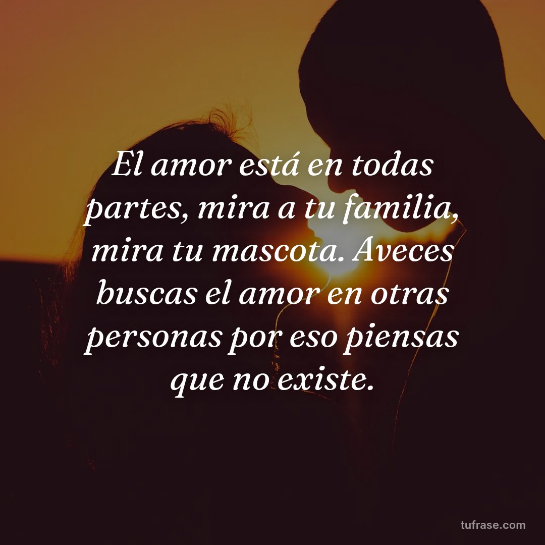 El amor está en todas partes, mira a tu familia, mira tu mascota. Aveces buscas el amor en otras personas por eso piensas que no existe.