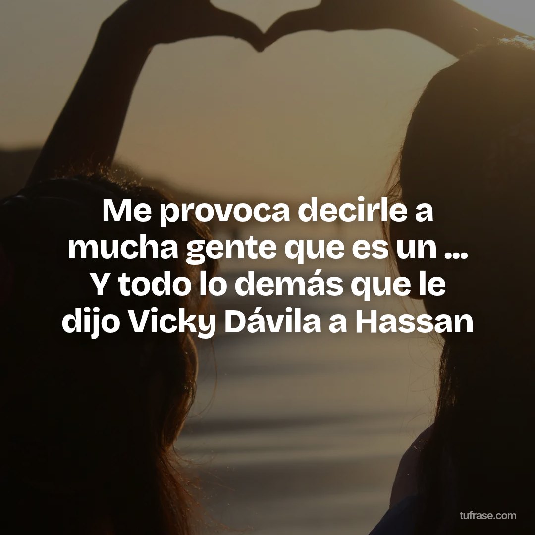 Me provoca decirle a mucha gente que es un ... Y todo lo demás que le dijo Vicky Dávila a Hassan