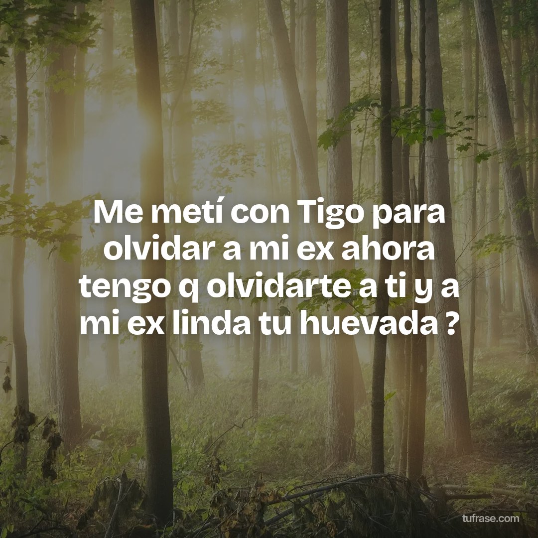 Me metí con Tigo para olvidar a mi ex ahora tengo q olvidarte a ti y a mi ex linda tu huevada ?